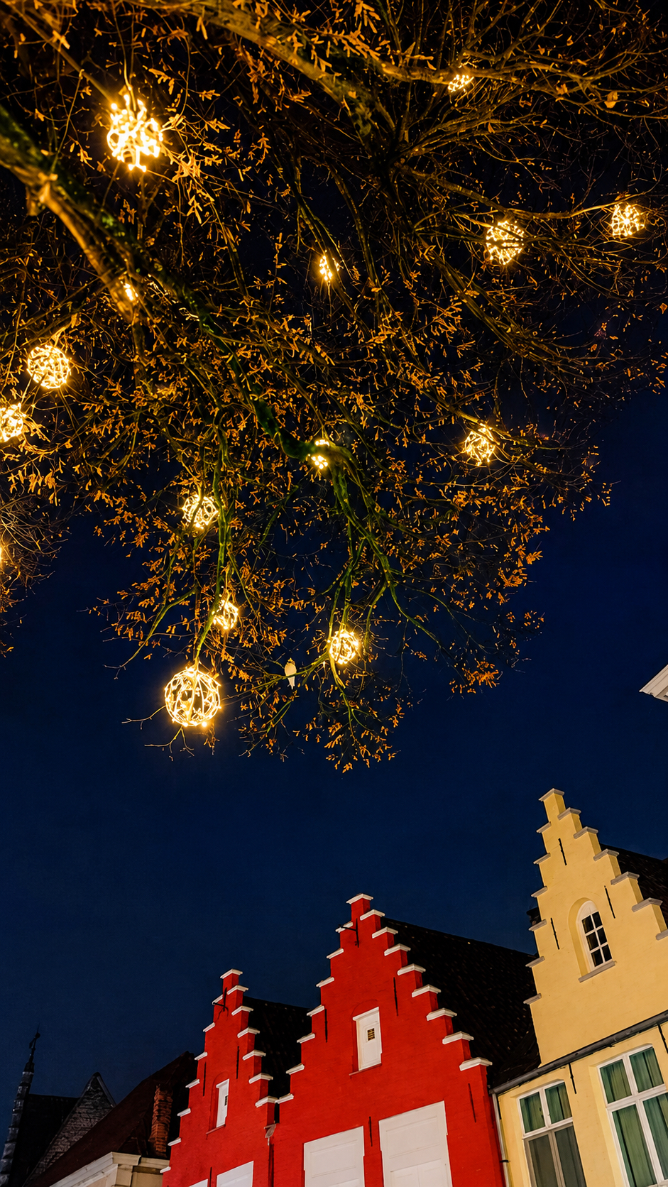 Festive lights strung through a tree above red stepped-gable houses at night.