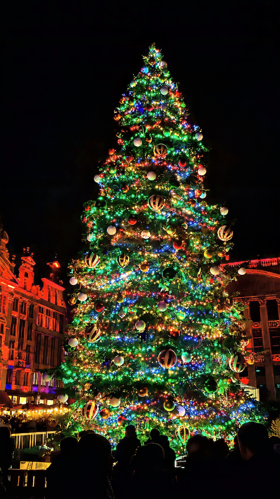 A tall Christmas tree covered in coloured lights against the night sky.