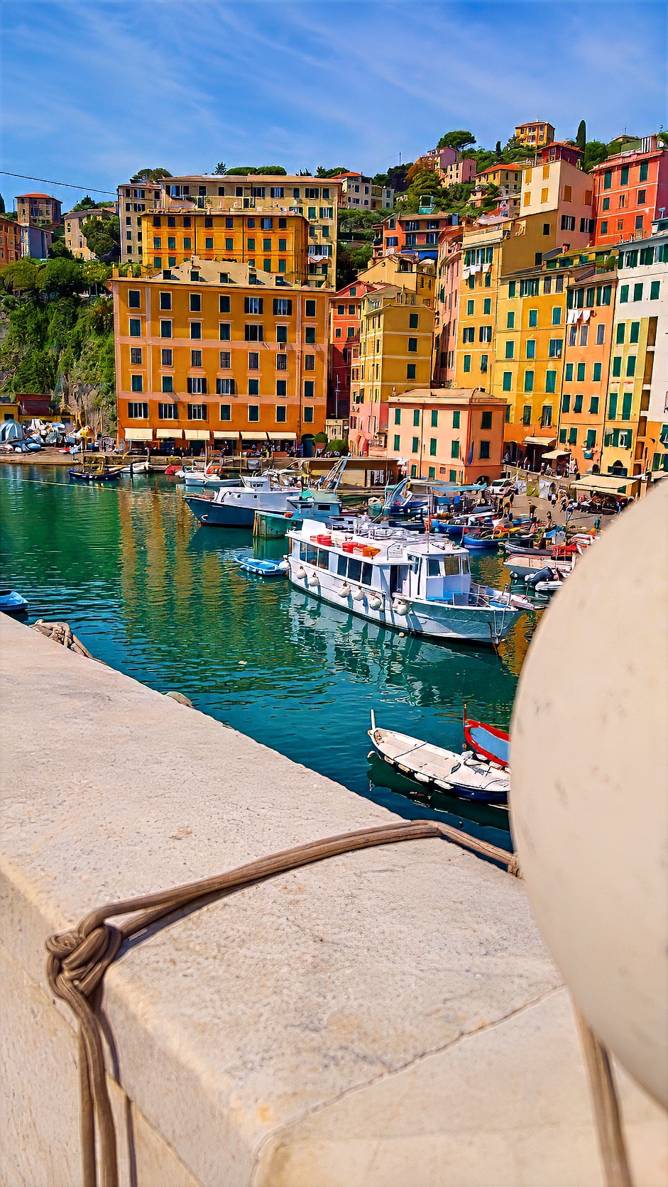 The small harbour of Camogli, with moored boats below tall yellow, orange and pink houses.