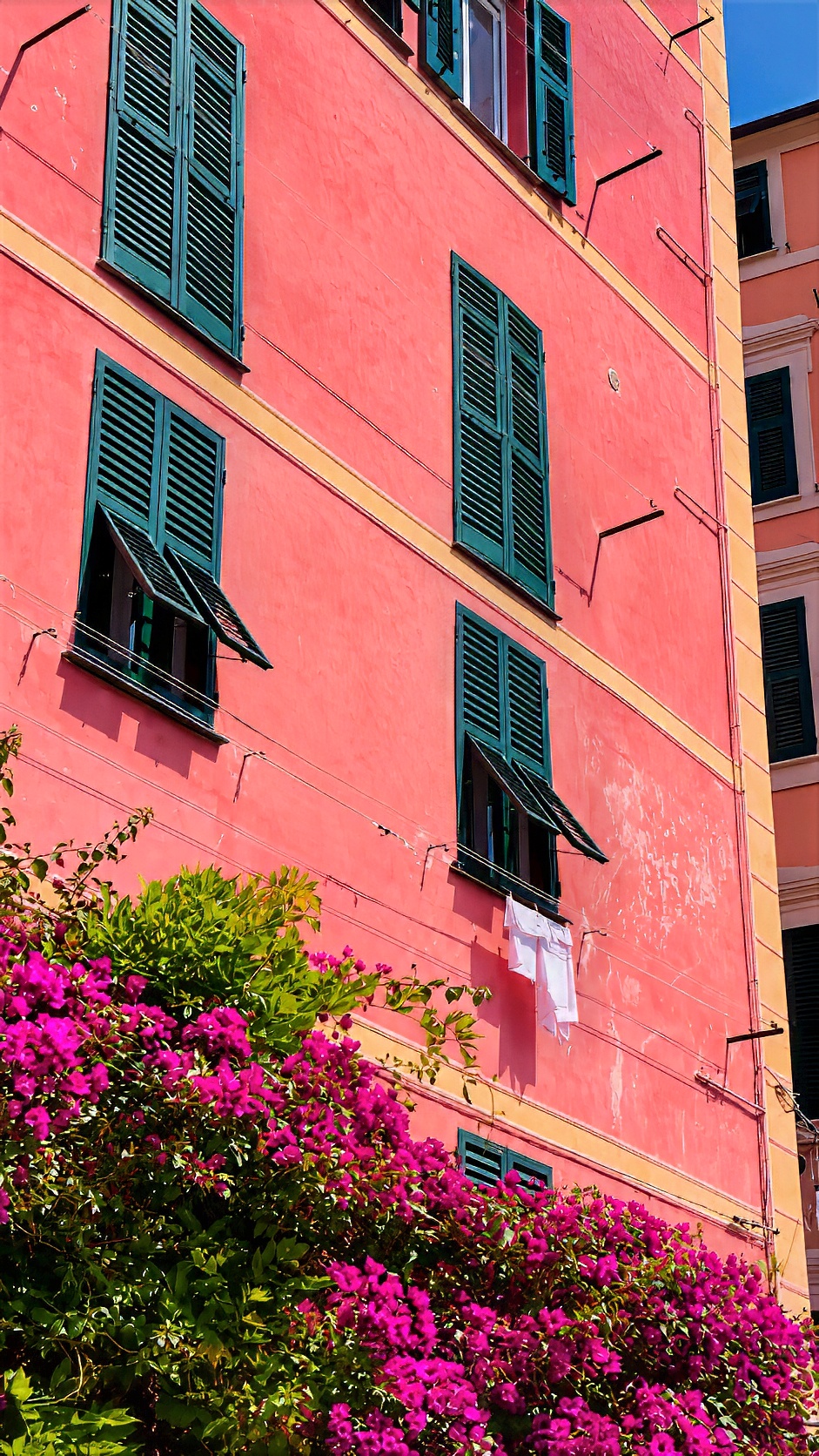 A tall pink house with green shutters, bougainvillea flowering below its windows.