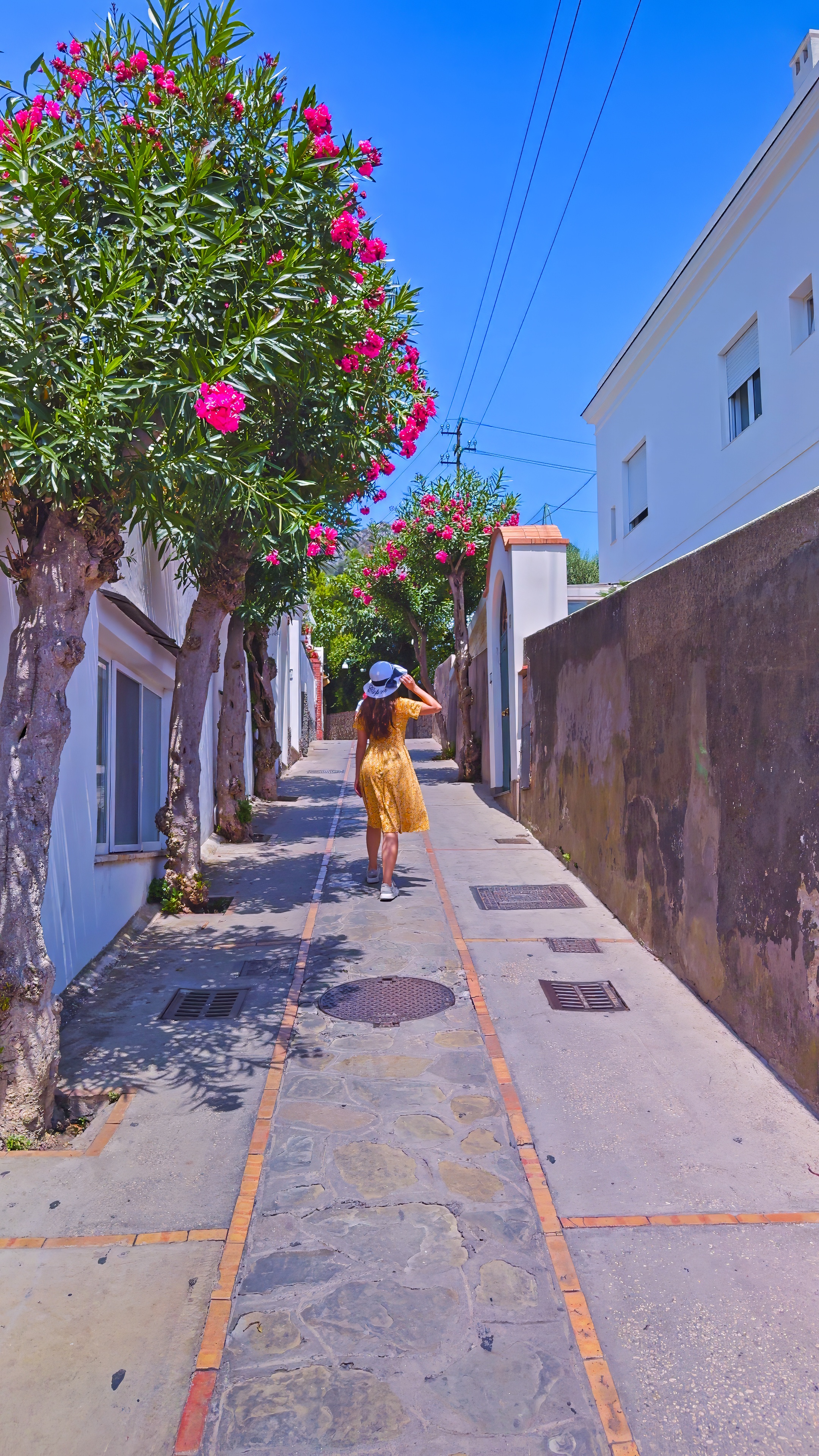 A quiet white lane lined with flowering oleander, Barbara walking away in the distance.