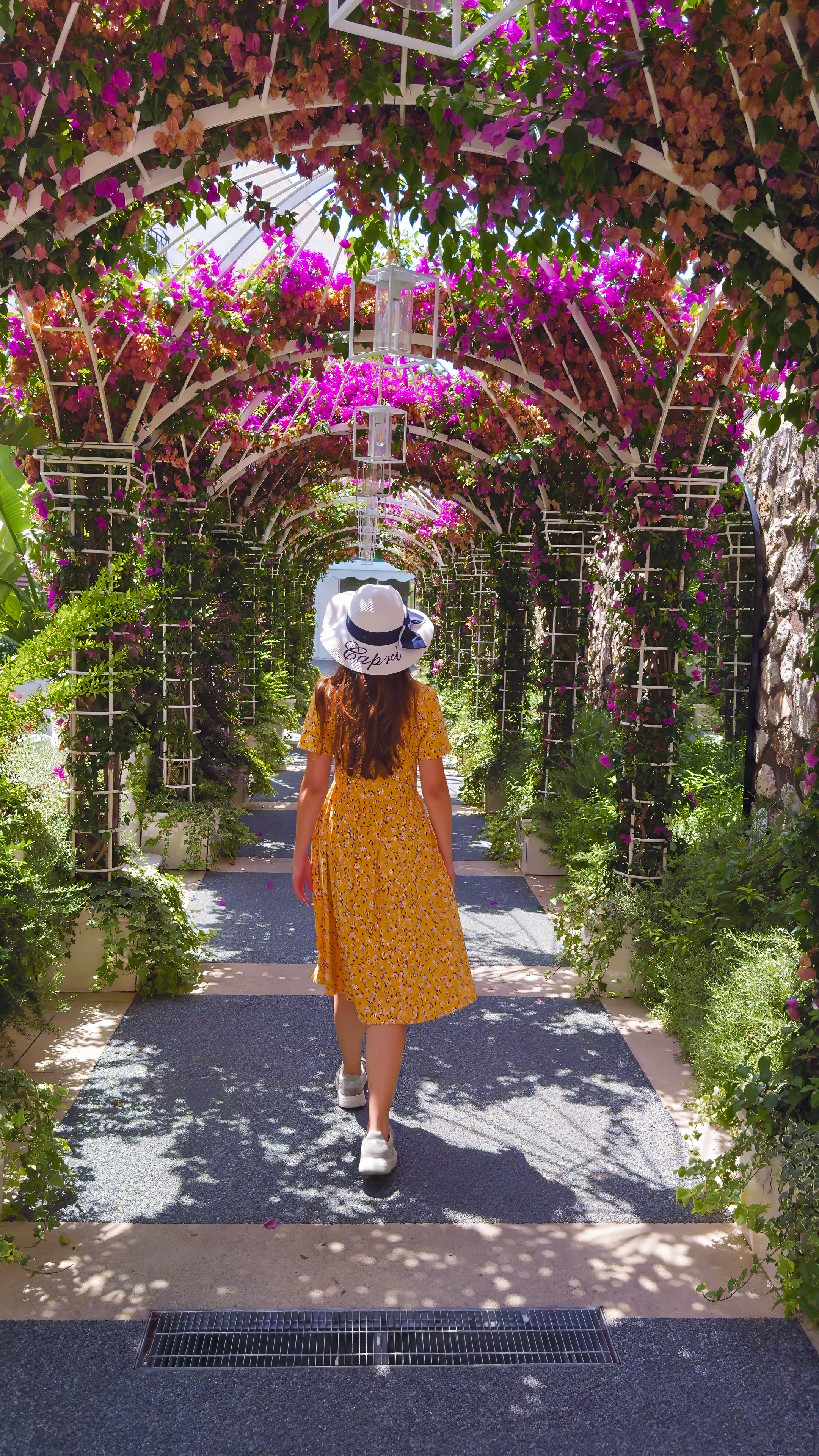 Barbara walking beneath a pergola of pink bougainvillea.