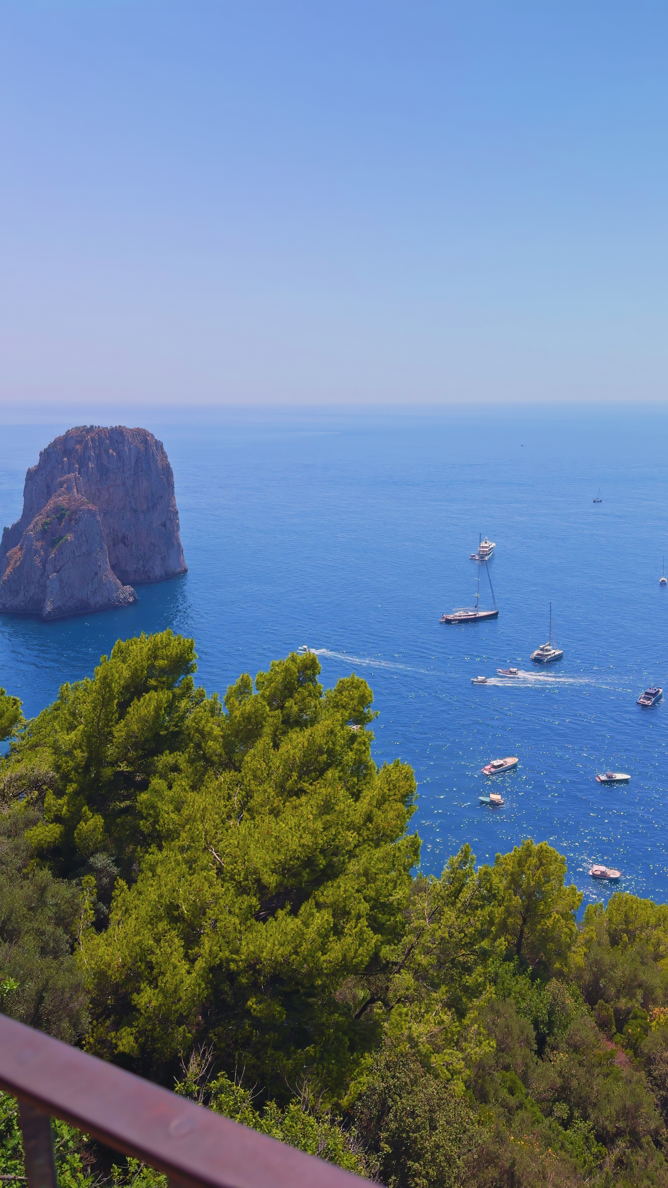 The Faraglioni framed by pine trees from a railing on the cliffs.