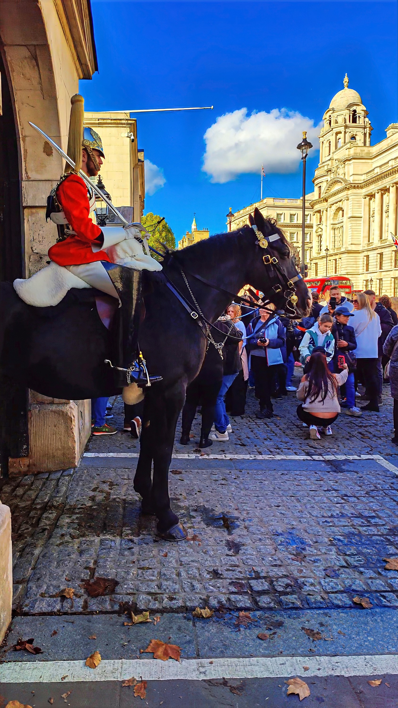 A mounted guard in a red tunic and plumed helmet on a black horse, with a crowd of visitors behind.