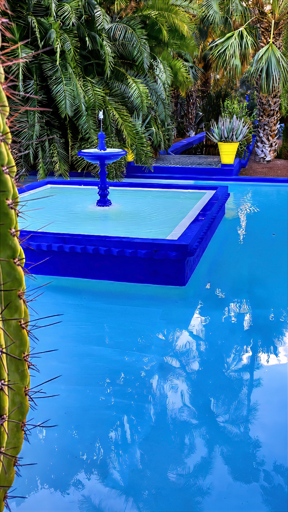 A cobalt-blue fountain and pool framed by palms, cactus and a yellow pot.