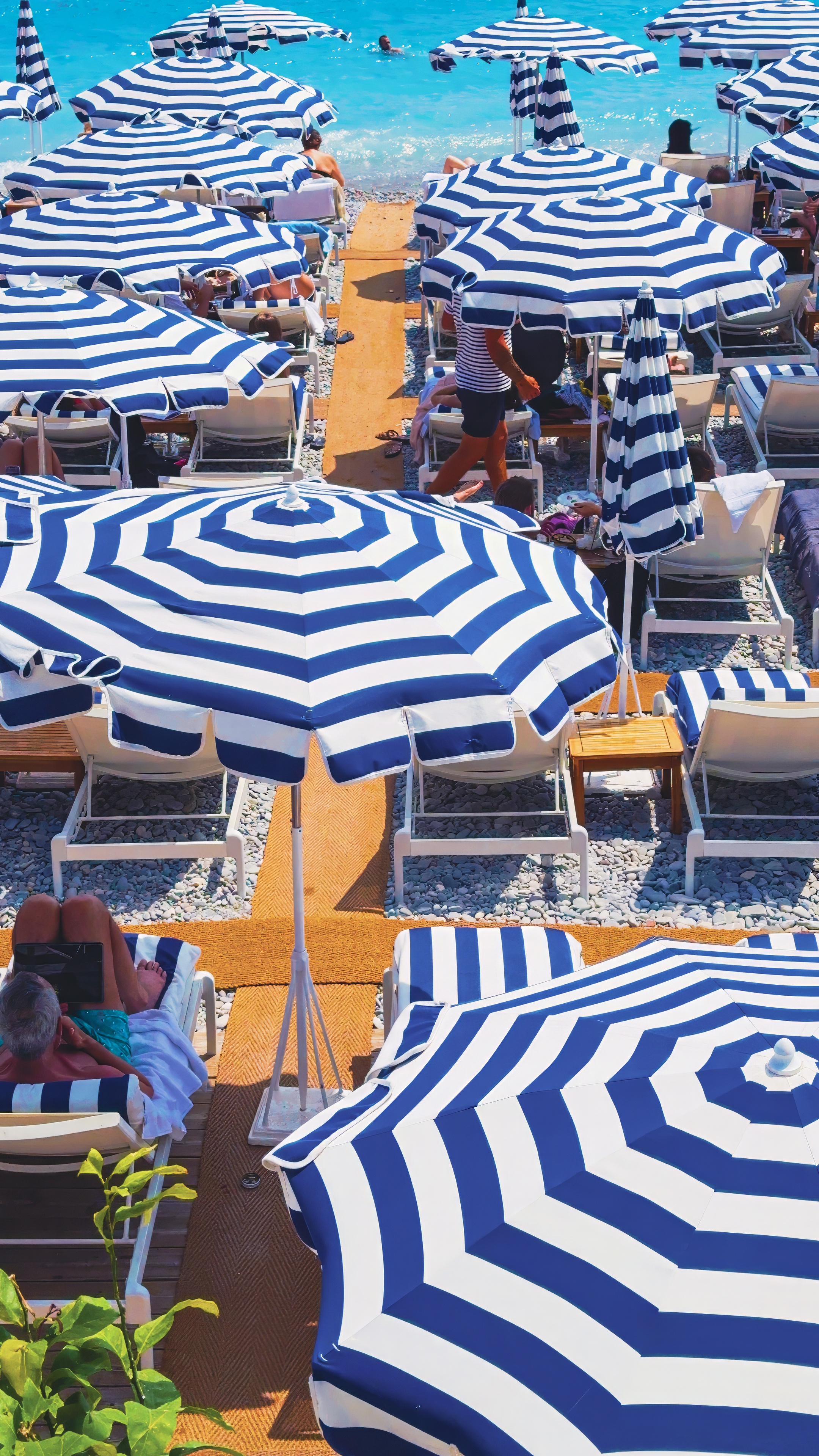 Rows of blue-and-white striped parasols and loungers on a beach, seen from above.