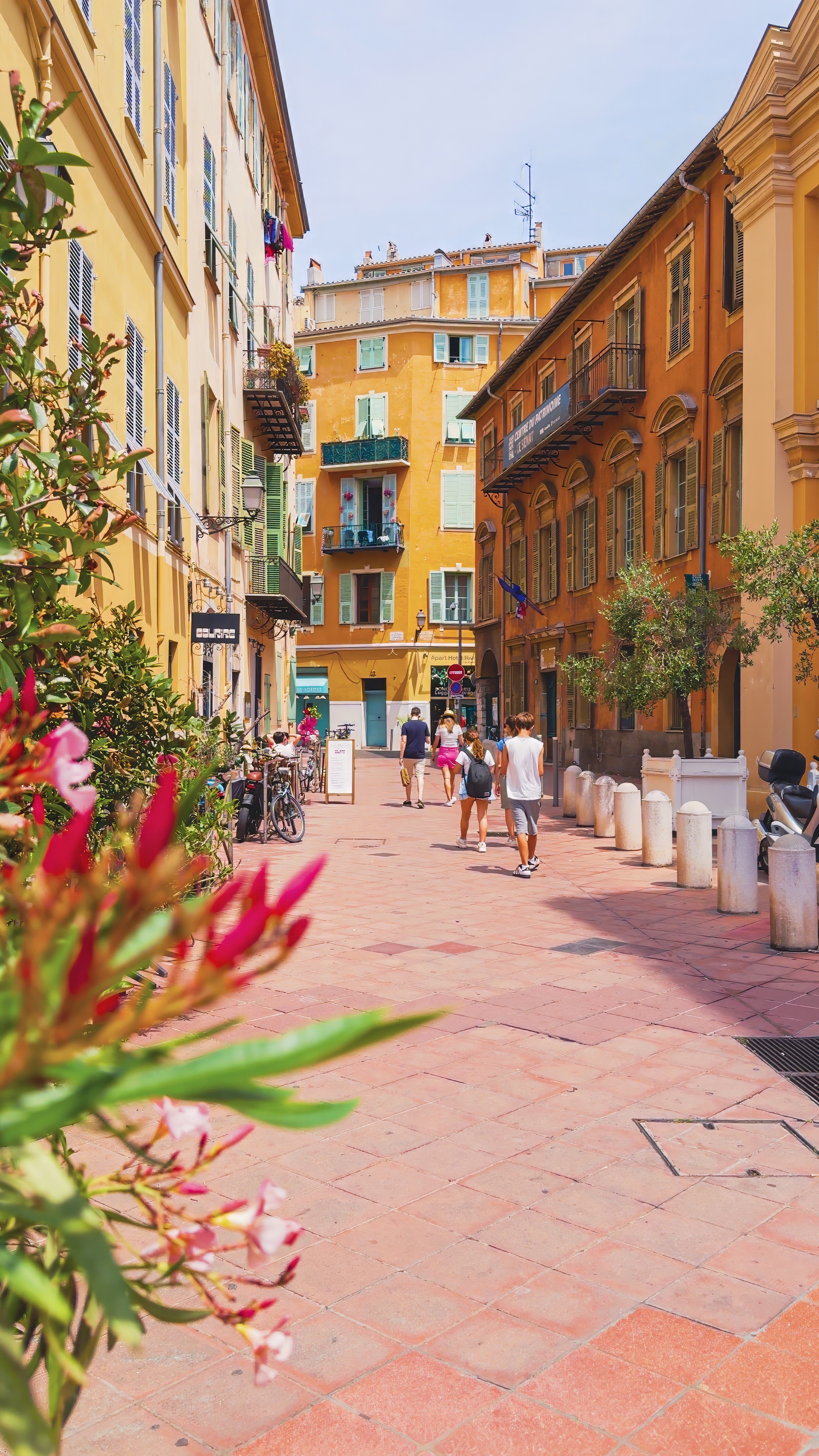 A pink-paved street between ochre and yellow buildings, with oleander flowers in the foreground.