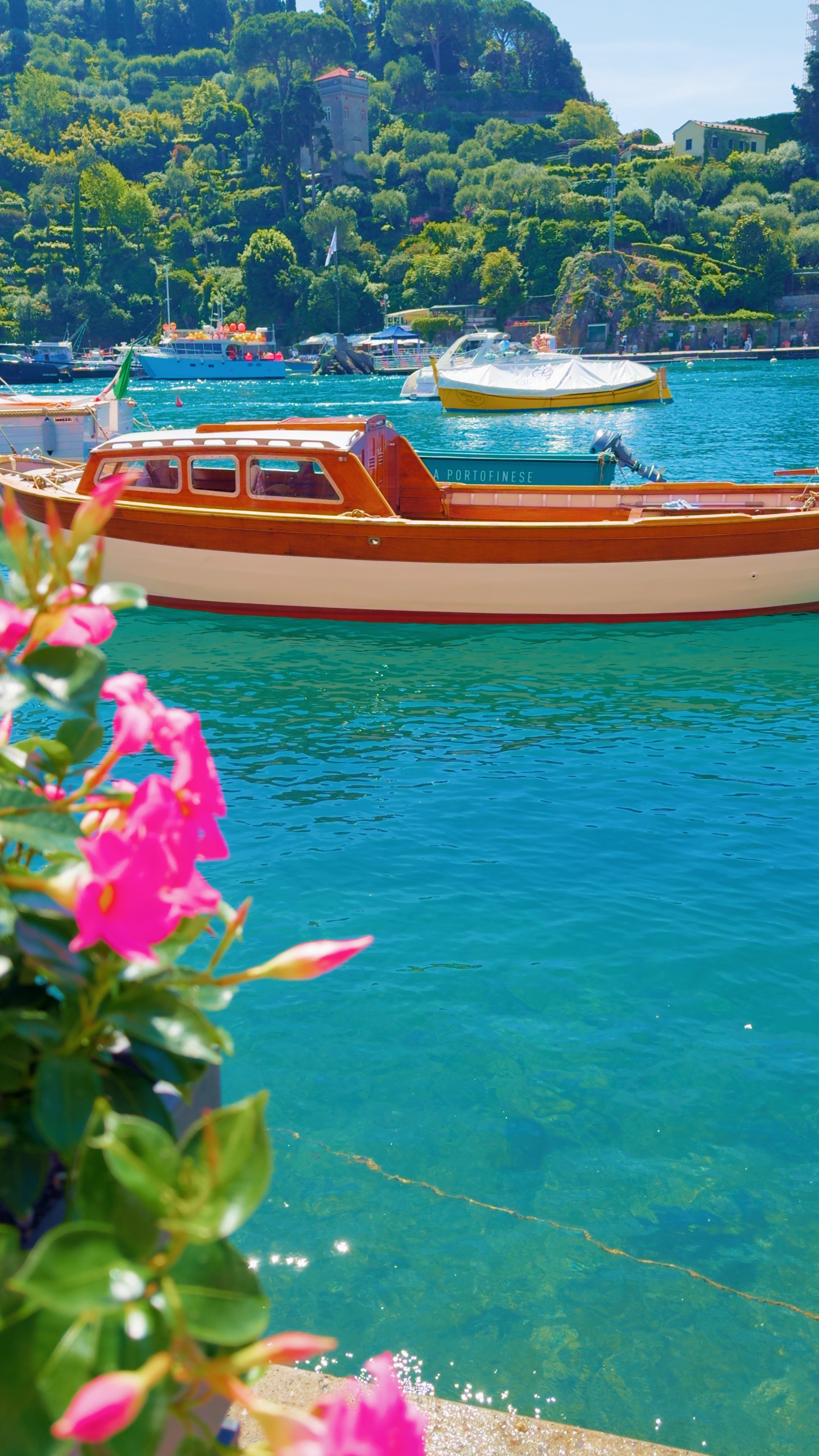 A wooden motorboat on turquoise water, with pink flowers in the foreground.