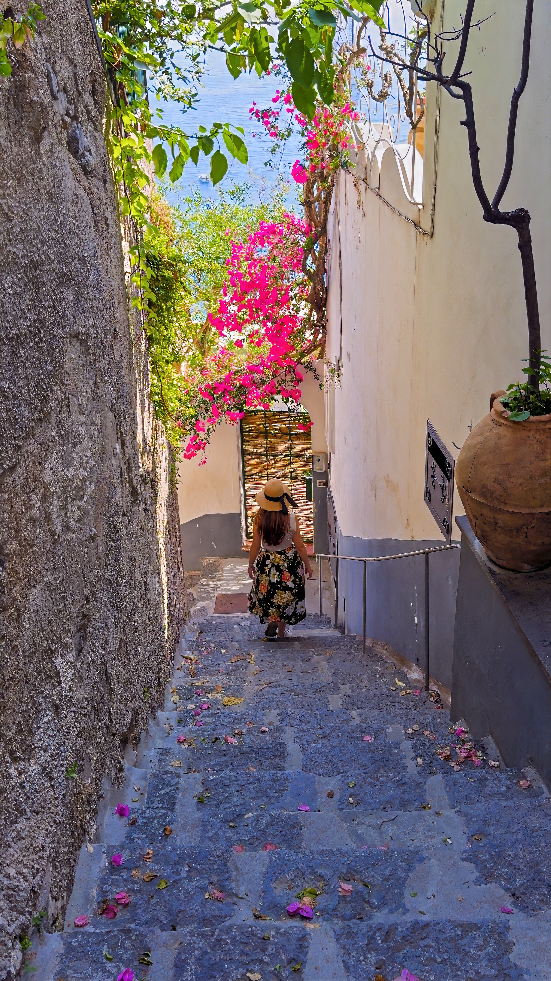 A narrow stepped lane between white walls, with bougainvillea and plants on either side.