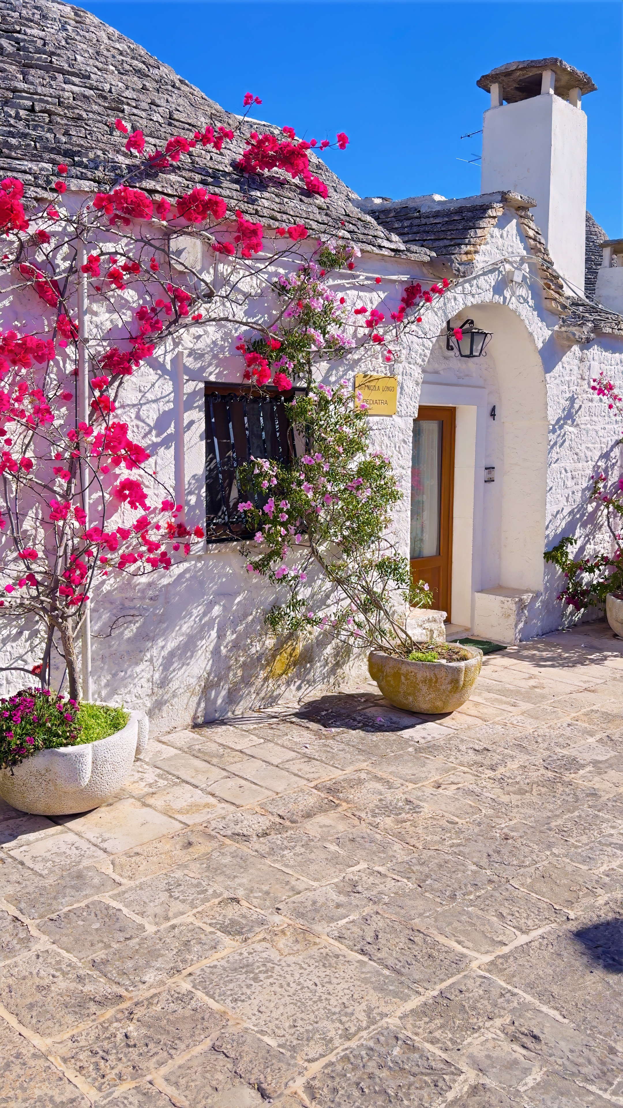 A whitewashed trullo with a conical stone roof, framed by pink bougainvillea.