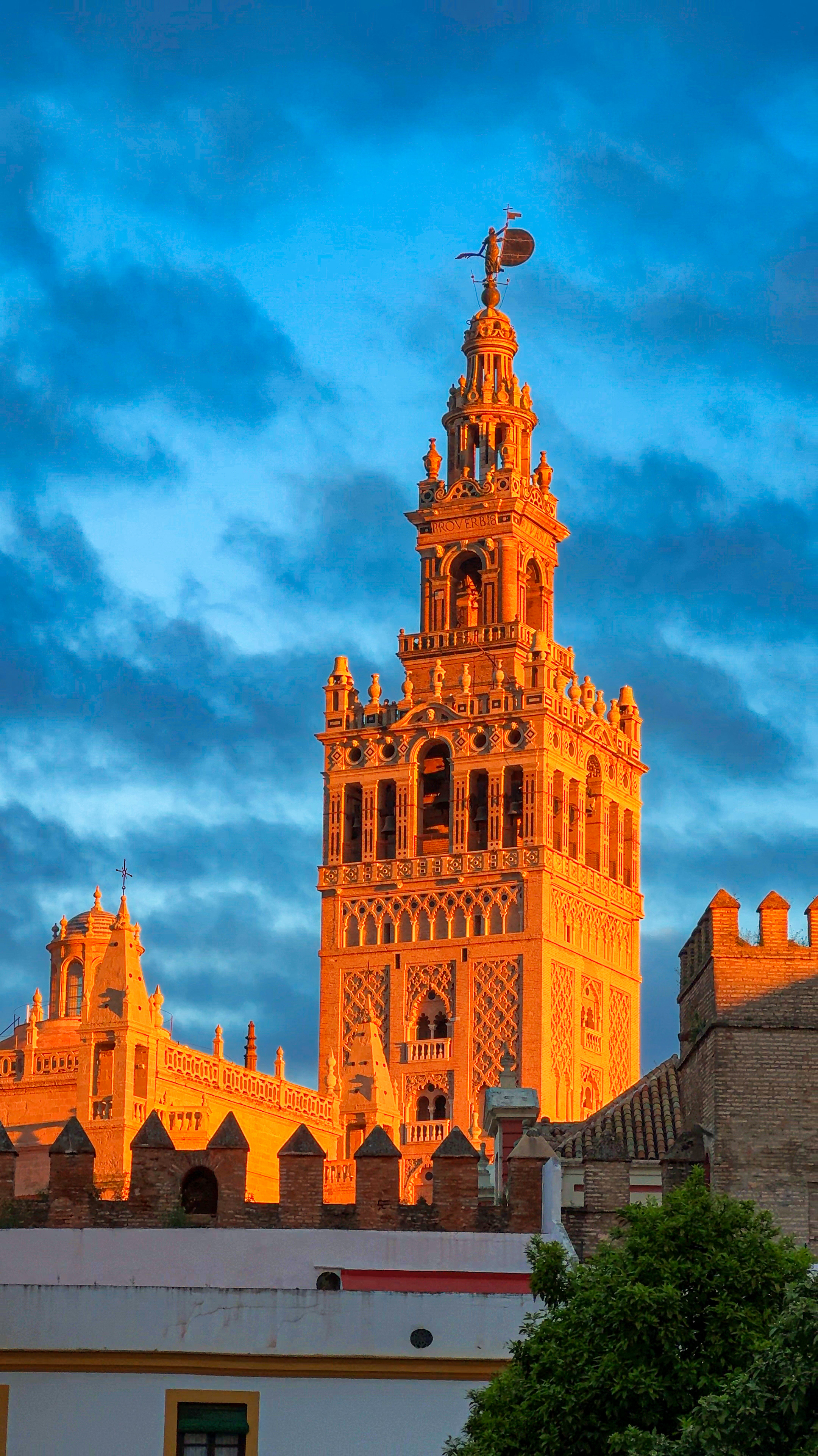 The Giralda bell tower glowing orange in late light above the Cathedral roofline