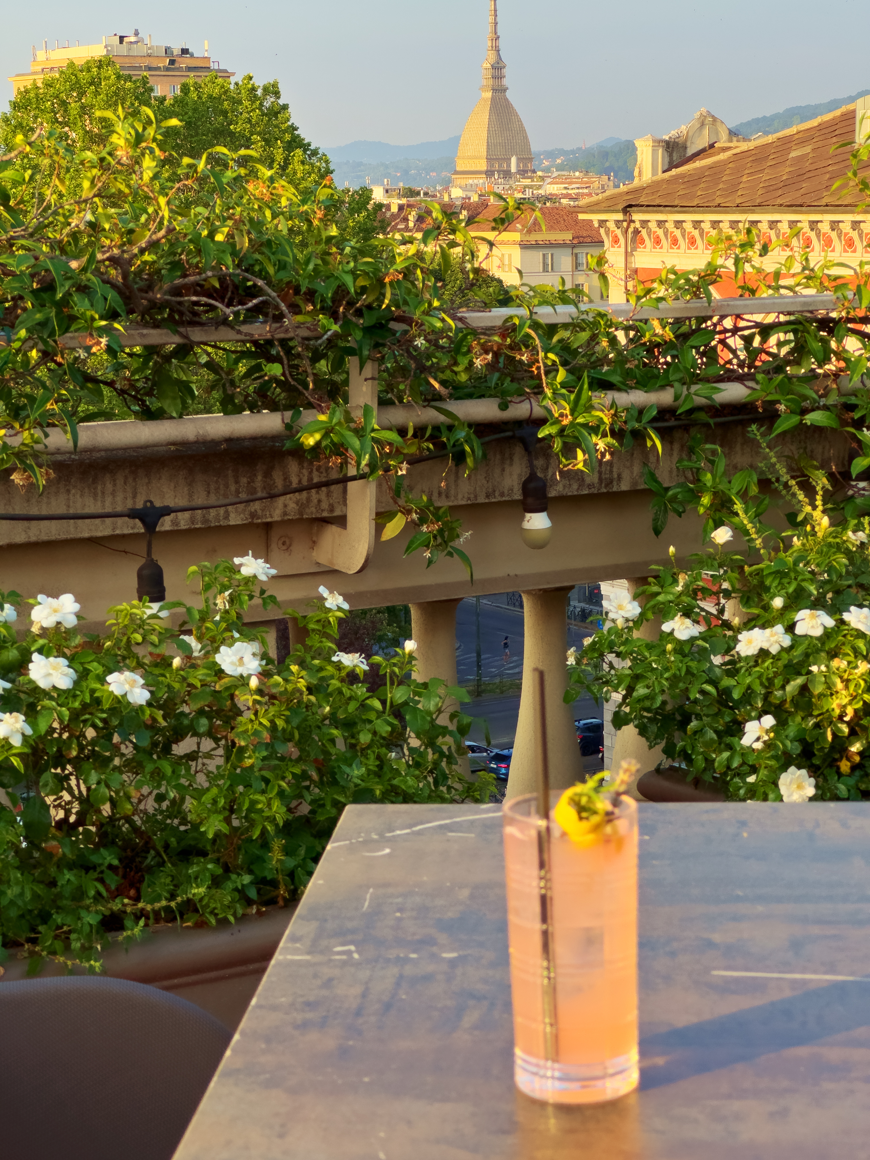 A pink drink on the Turin Palace rooftop terrace, with flowers and the Mole beyond.