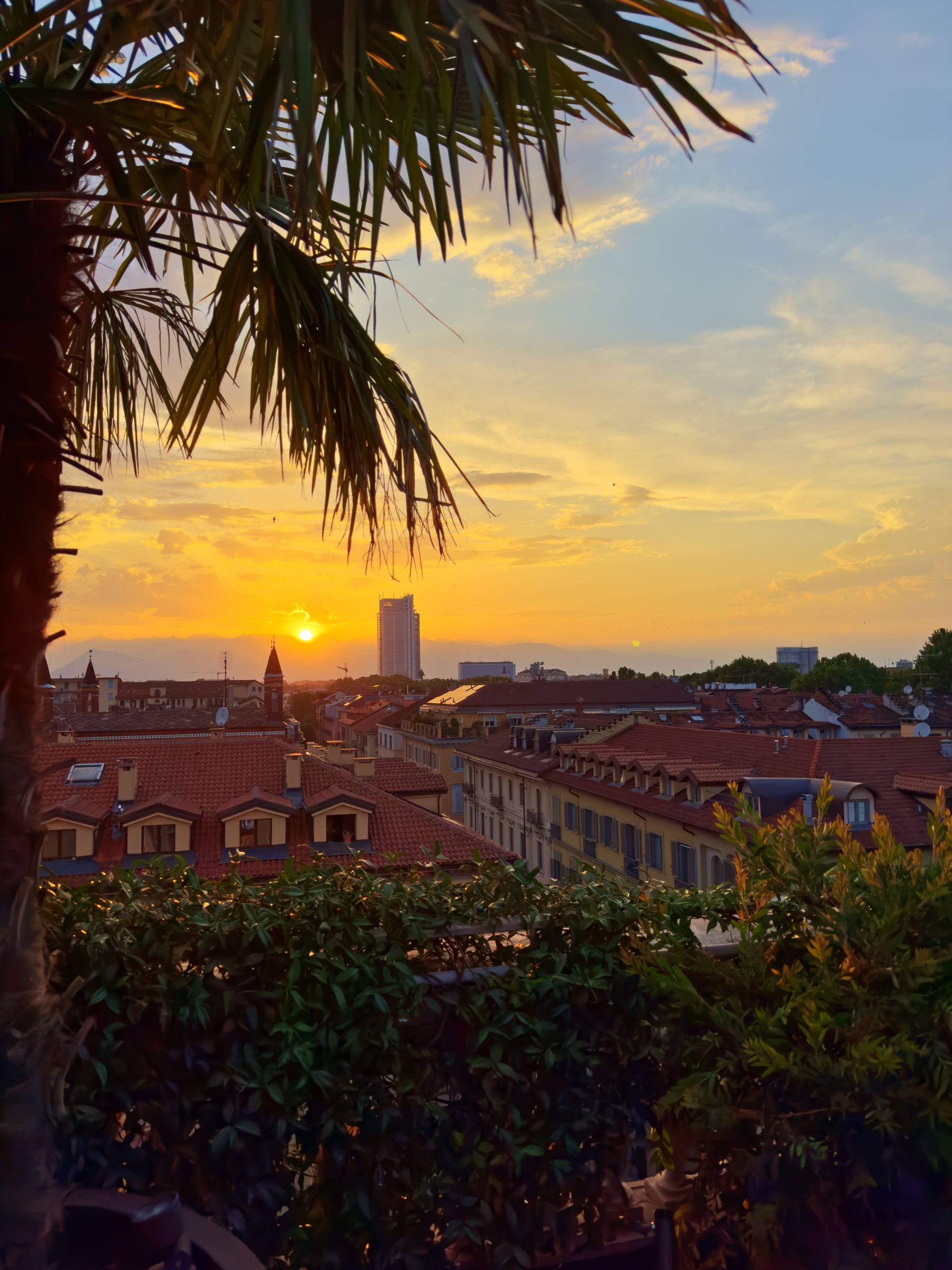 Sunset over Turin from the hotel terrace, framed by palm leaves