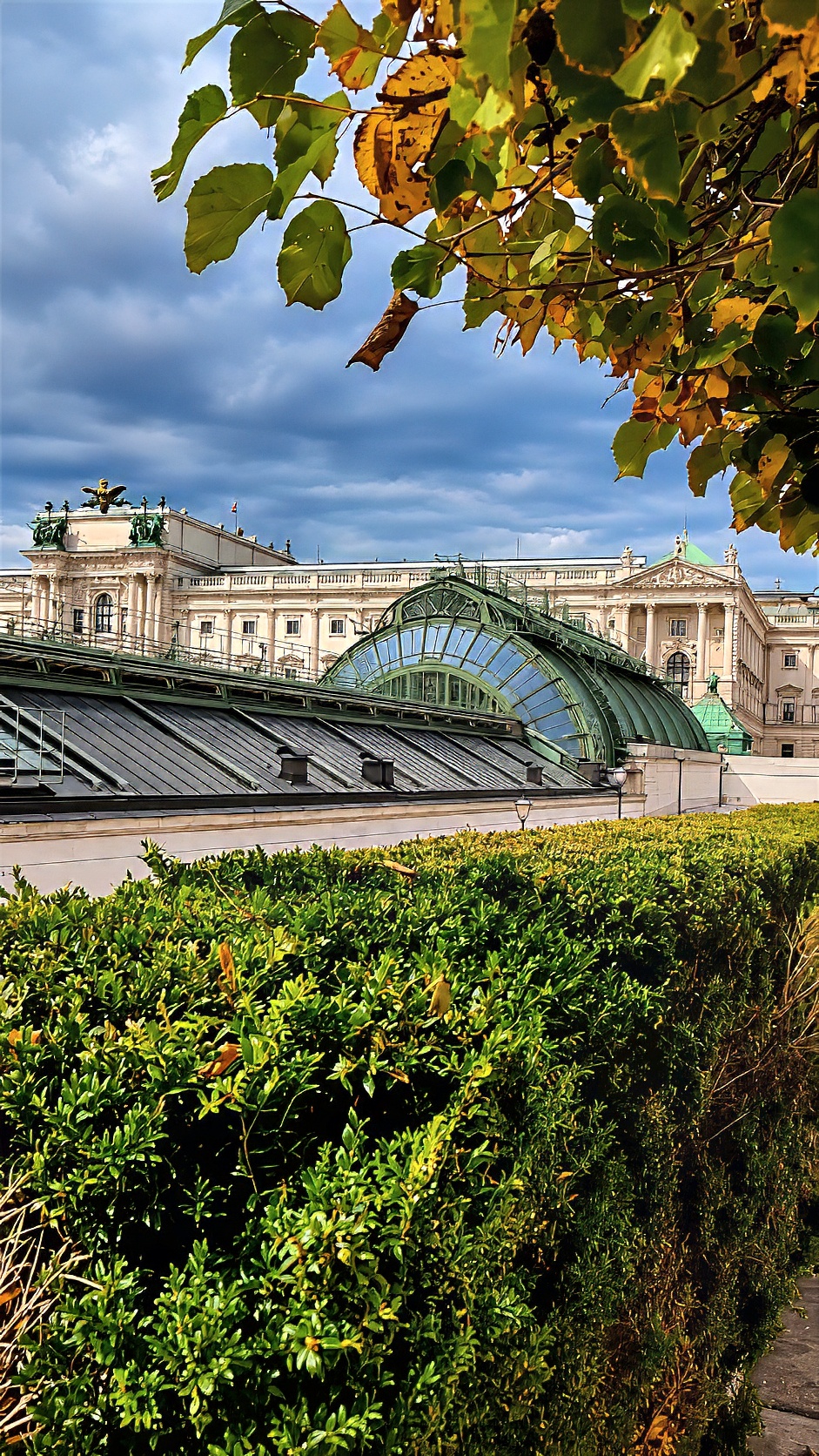 The curved glass roof of the Palmenhaus above a clipped hedge, with palace façades behind.